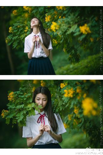 日本中文字幕在线